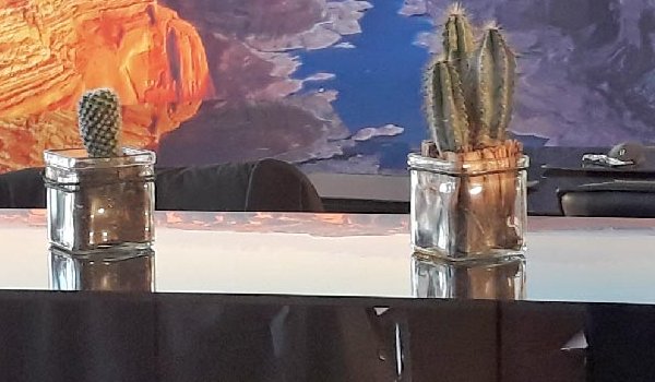 Photo de la réalisation Aménagement de bâtiment tertiaire, de bureaux modernes et accueillants